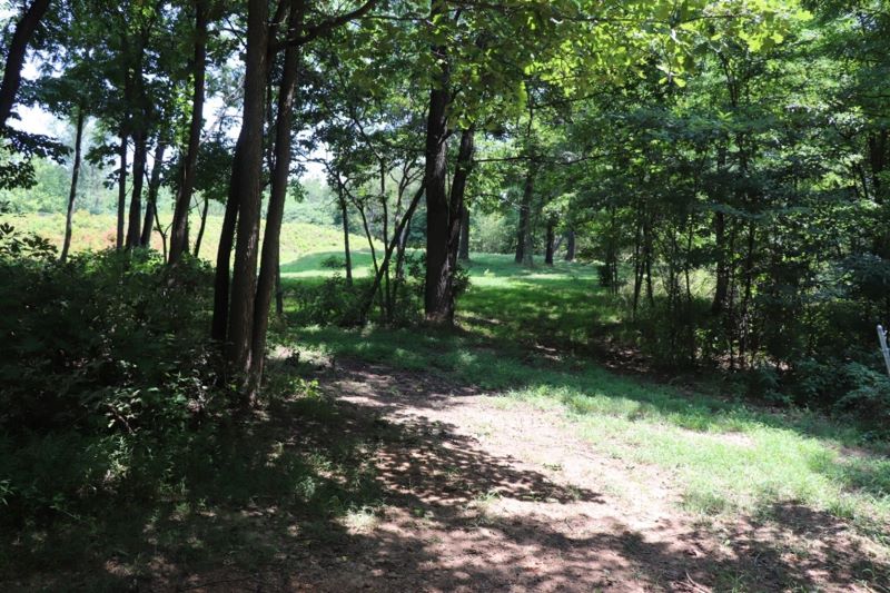 Star Fort II tract
